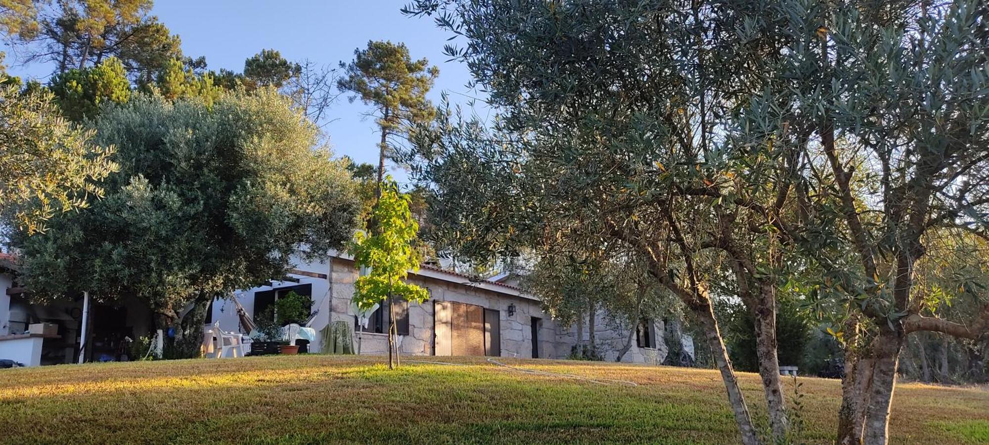 Гостевой дом Quinta Da Pedra Mija Сантар Экстерьер фото