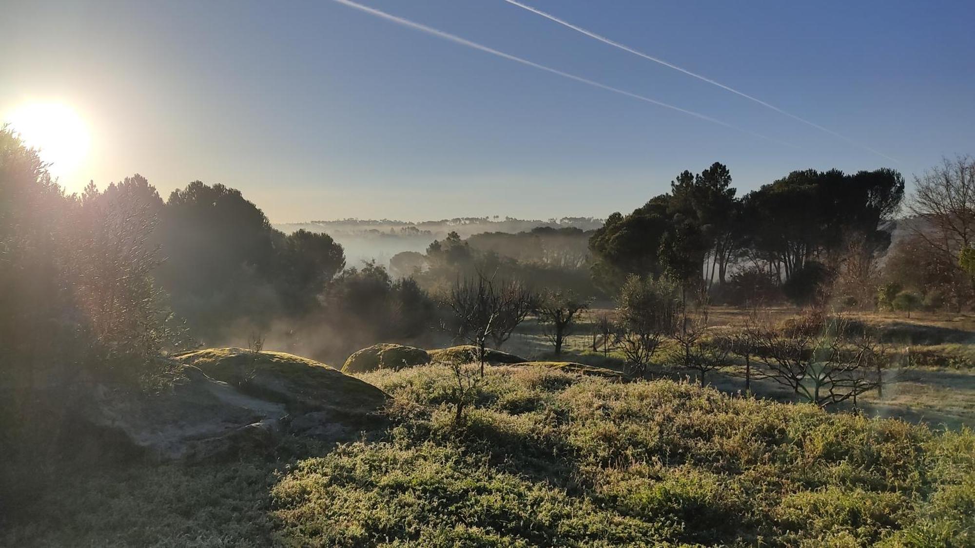 Гостевой дом Quinta Da Pedra Mija Сантар Экстерьер фото
