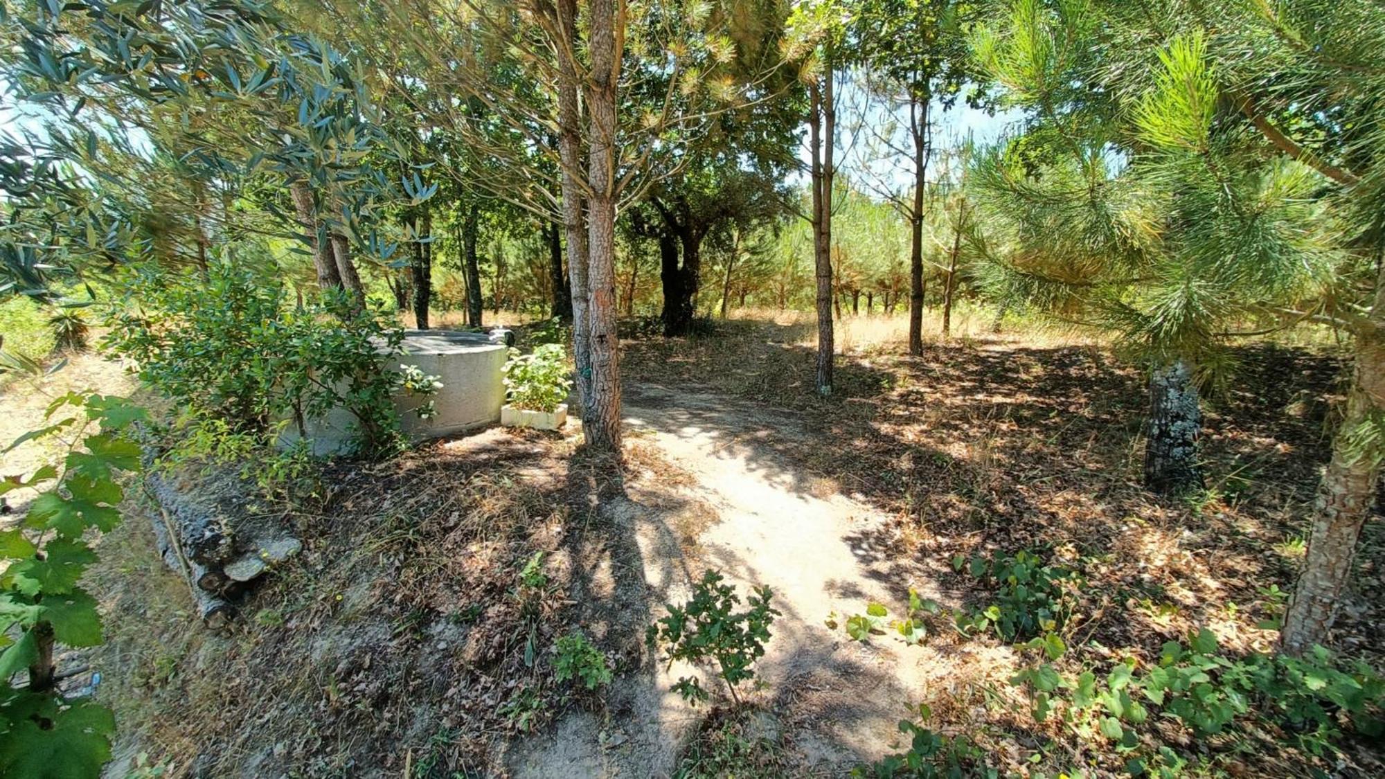 Гостевой дом Quinta Da Pedra Mija Сантар Экстерьер фото