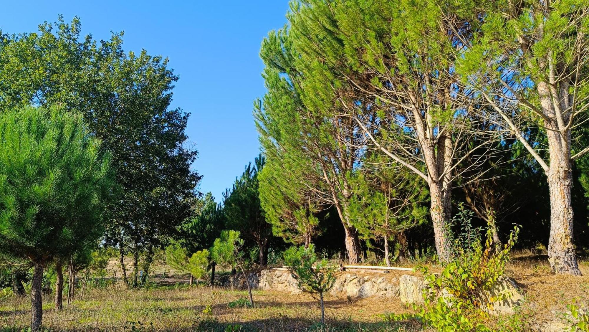 Гостевой дом Quinta Da Pedra Mija Сантар Экстерьер фото
