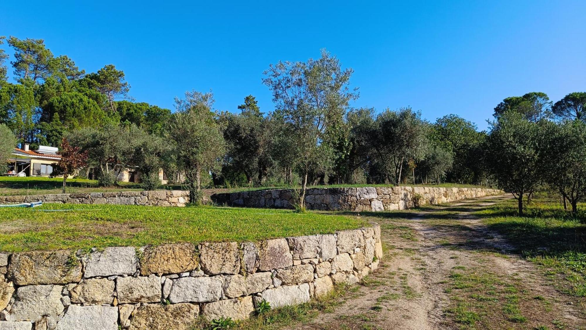 Гостевой дом Quinta Da Pedra Mija Сантар Экстерьер фото