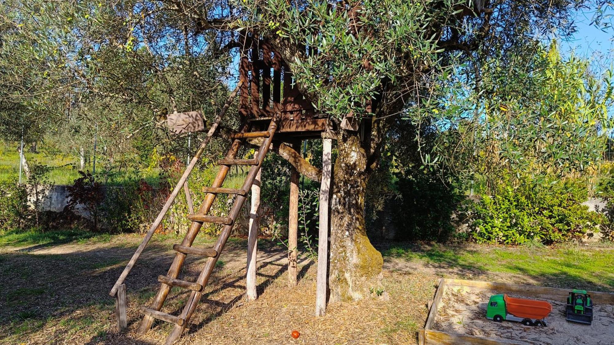 Гостевой дом Quinta Da Pedra Mija Сантар Экстерьер фото