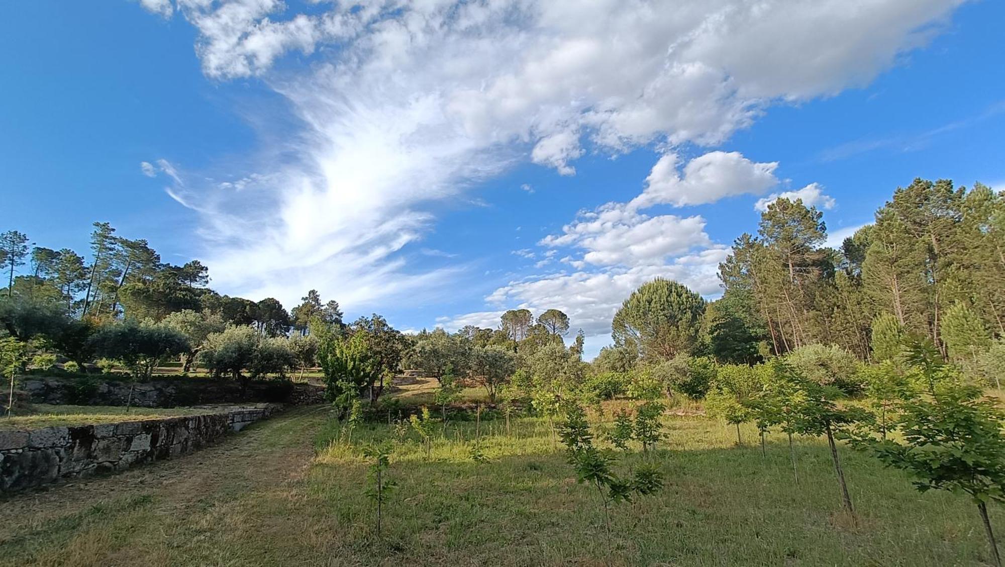 Гостевой дом Quinta Da Pedra Mija Сантар Экстерьер фото